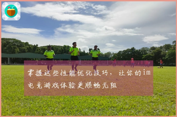 掌握这些性能优化技巧，让你的im电竞游戏体验更顺畅无阻