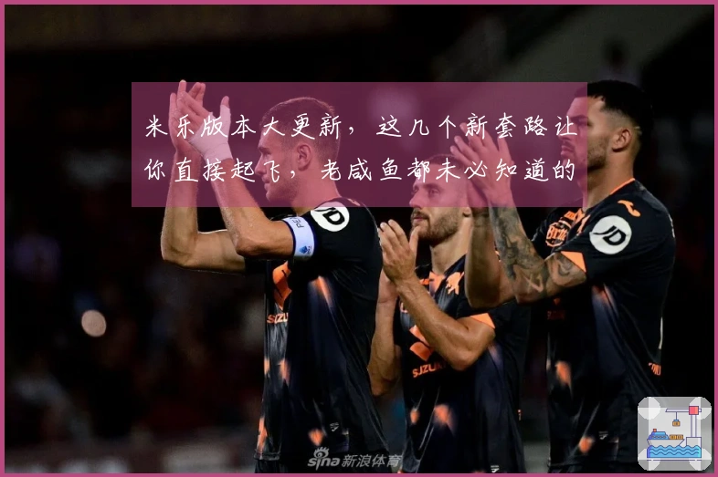 米乐版本大更新，这几个新套路让你直接起飞，老咸鱼都未必知道的收益秘籍！