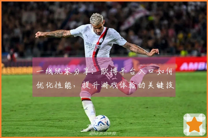 一线玩家分享：欧博平台入口如何优化性能，提升游戏体验的关键技巧