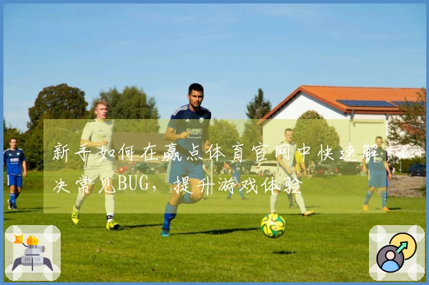 新手如何在赢点体育官网中快速解决常见BUG，提升游戏体验