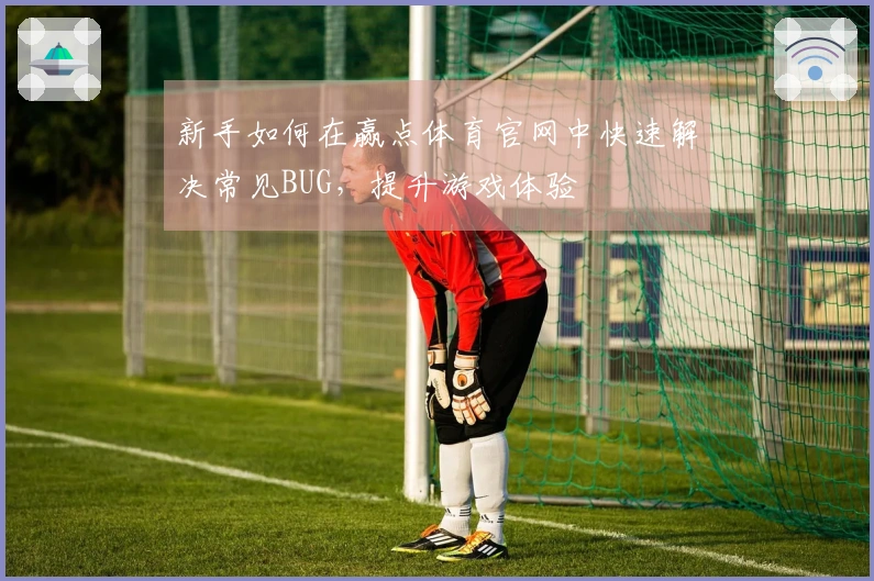 新手如何在赢点体育官网中快速解决常见BUG，提升游戏体验